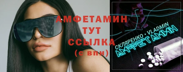 ешки Алексин