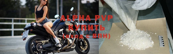 дмт Новозыбков