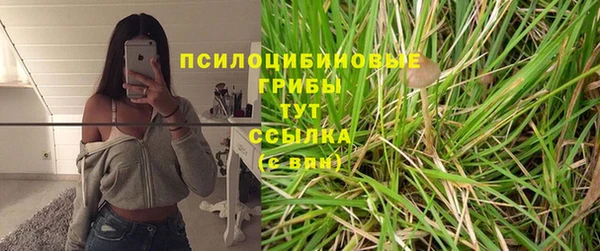 марихуана Новокубанск