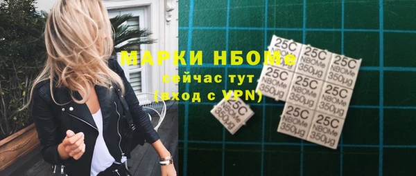 ешки Алексин