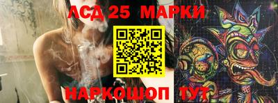 индика Усть-Илимск