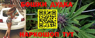 молекула духа Обнинск