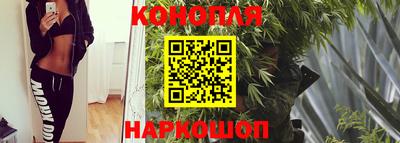 гашик Нягань