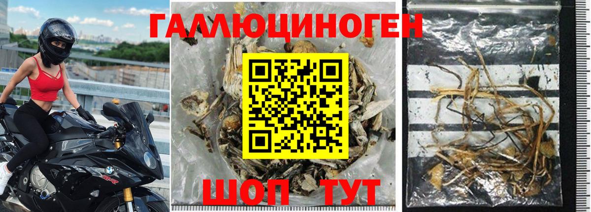 купить наркоту  Псилоцибиновые грибы прущие грибы  Псилоцибиновые грибы мицелий  Вход с VPN  Первоуральск 