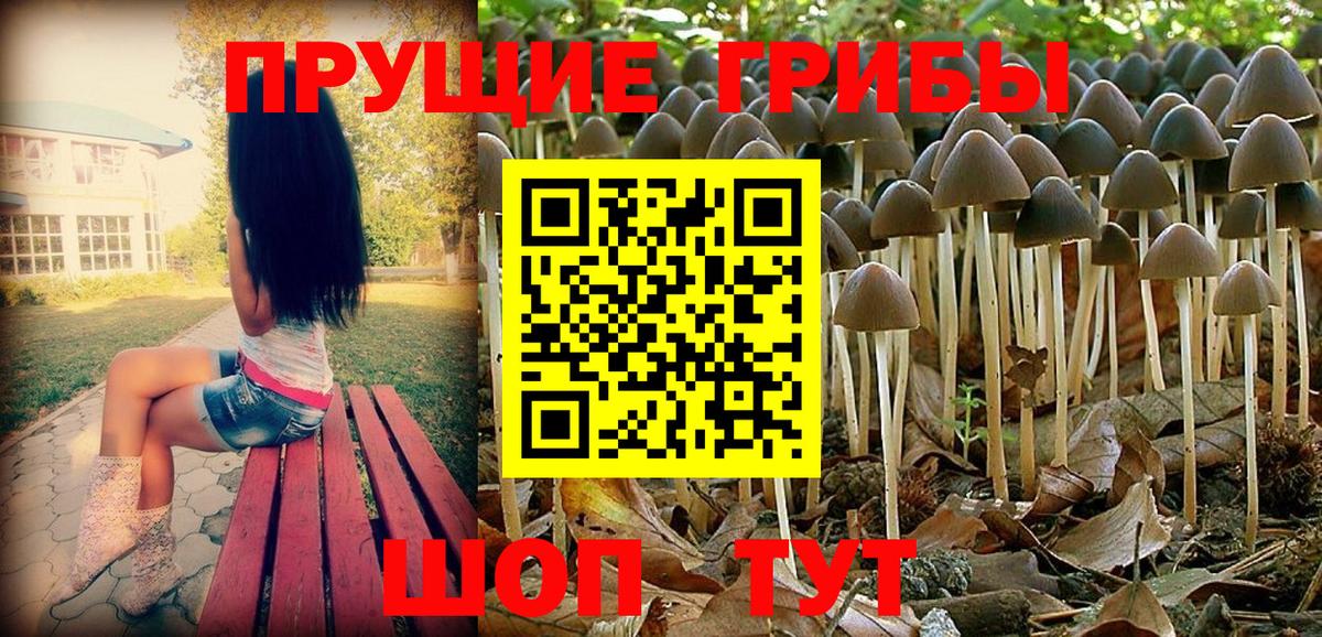 Галлюциногенные грибы ЛСД Первоуральск